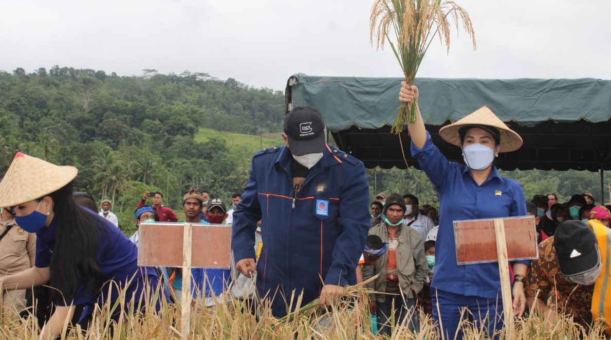 Kunjungan Gobel Bawa Harapan Baru bagi Sumba